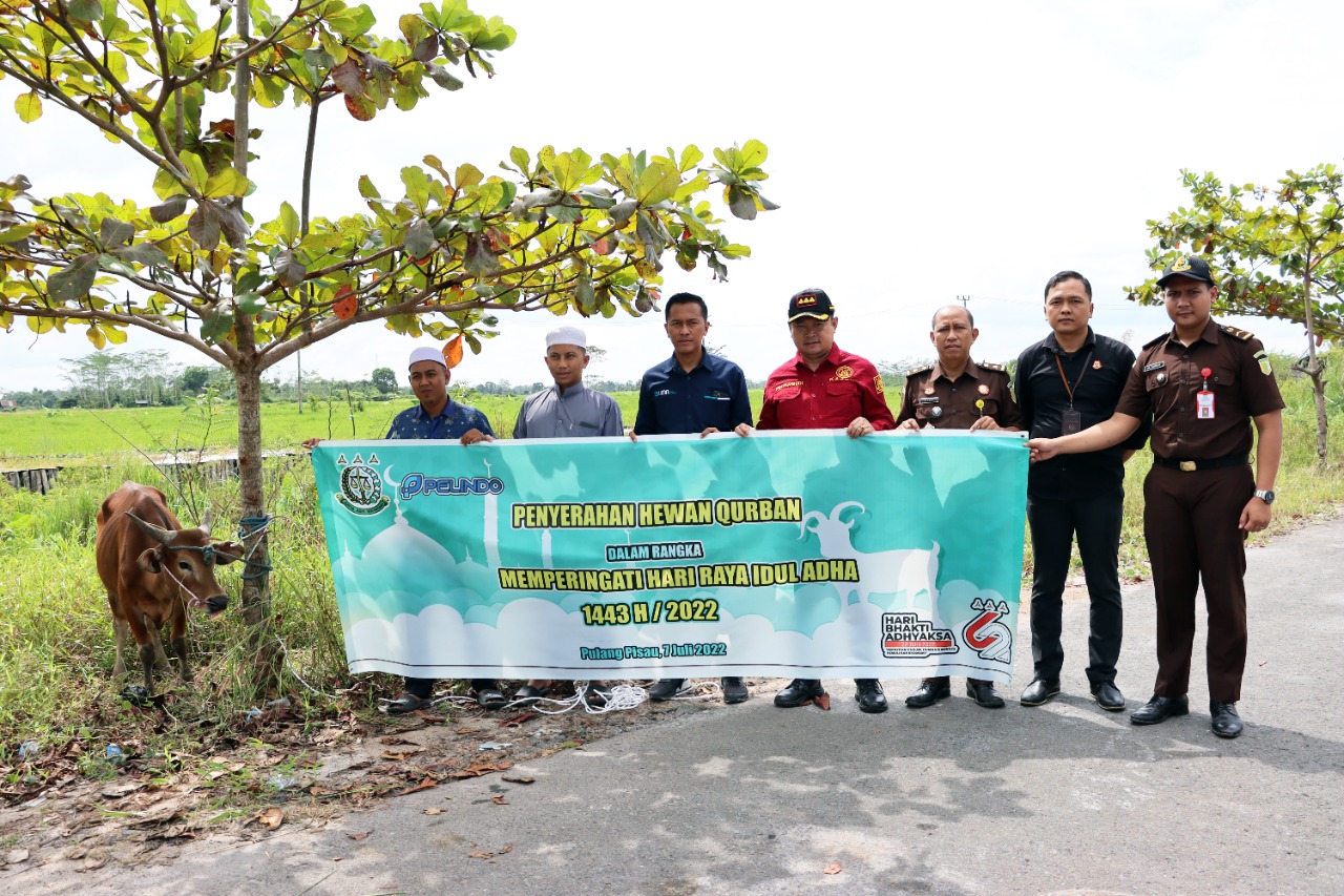 Kejaksaan Negeri Pulang Pisau Bersama PT. Pelindo III Pulang Pisau Salurkan 1 Ekor Sapi dan 2 Ekor Kambing
