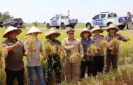 KAJARI DAN FKPD PANEN PADI BERSAMA  WAKIL GUBERNUR KALTENG DI KAWASAN FOOD ESTATE